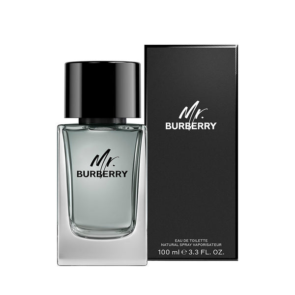 burberry mr burberry edt vapo 100 ml